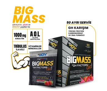 Bigjoy BIGMASS GO GH FACTORS Çikolata 5000g