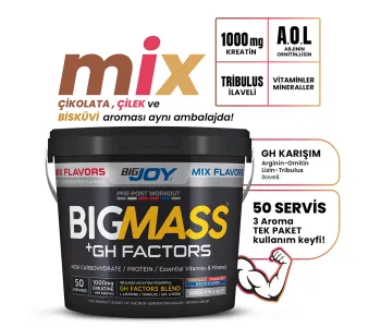 Bigjoy BIGMASS Gainer GH FACTORS MIX FLAVORS  Mix Aroma 5000g